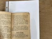 Grieszninkas priverstas metavoties 1905 m. - nuotraukos Nr. 4