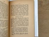 Lietuvos Respublika ir jos ateitis 1926 m. - nuotraukos Nr. 7