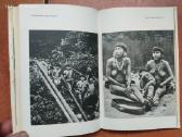 Etorė Bioka "Janoama" 1975 m. - nuotraukos Nr. 6