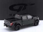 Ford Shelby F-150 - nuotraukos Nr. 2