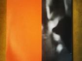 Knyga Lietuvos Spaudos Fotografija '16 - nuotraukos Nr. 2