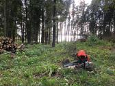 Vejos, žolės pjovimas, apleistų sklypų tvarkymas. - nuotraukos Nr. 26