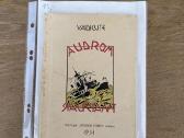 Audroms siaučiant 1931 m.