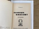 Audroms siaučiant 1931 m. - nuotraukos Nr. 2