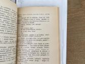 Audroms siaučiant 1931 m. - nuotraukos Nr. 5