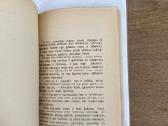 Audroms siaučiant 1931 m. - nuotraukos Nr. 6