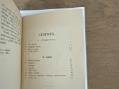Audroms siaučiant 1931 m. - nuotraukos Nr. 8