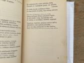 Prošvaistė. Iv knyga. Literatrinių raštų rinkinys - nuotraukos Nr. 3