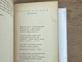 Prošvaistė. Iv knyga. Literatrinių raštų rinkinys - nuotraukos Nr. 5