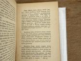 Prošvaistė. Iv knyga. Literatrinių raštų rinkinys - nuotraukos Nr. 6