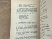 Prošvaistė. Iv knyga. Literatrinių raštų rinkinys - nuotraukos Nr. 7
