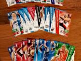 Panini Adrenalyn XL Nba krepšinio kortelės