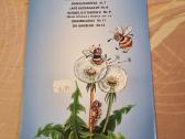 Pusiau skusta , pusiau lupta - nuotraukos Nr. 5