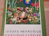 Vyturio lizdas