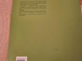 Vyturio lizdas - nuotraukos Nr. 6