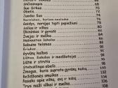 55 Kitokios pasakos - nuotraukos Nr. 4
