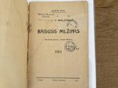 Baisusis milžinas 1927 m. - nuotraukos Nr. 2