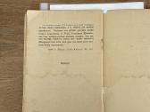 Baisusis milžinas 1927 m. - nuotraukos Nr. 6