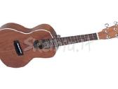 Įvairios gitaros, ukulėlės - nuotraukos Nr. 5