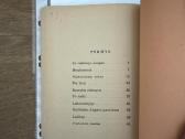 Po rūsčiuoju dangum 1948 m. - nuotraukos Nr. 7