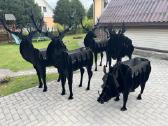 Šašlykinė Miško žvėris