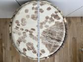 Djembe būgnas - nuotraukos Nr. 2