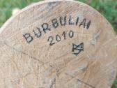 Medinė skulptūra. Burbuliai. Mykolas Strioga - nuotraukos Nr. 7