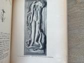 Tremties metai. Lietuvių rašytojų metraštis 1947 - nuotraukos Nr. 7