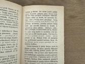 Kelionės į nežinomus kraštus 1937 m. - nuotraukos Nr. 4