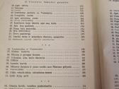 Pasakos sakmės oracijos - nuotraukos Nr. 4