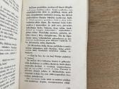 Kasdienės istorijos 1938 m. - nuotraukos Nr. 7