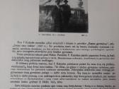 Knyga Peras Kalpokas 1956 m - nuotraukos Nr. 7
