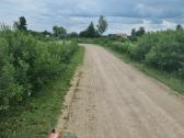 Pjauname aukšta žolę su traktorium, mulčiavims - nuotraukos Nr. 12