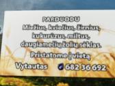 Kukuruzai - nuotraukos Nr. 2