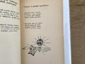 Šilkai ir vilkai 1950 m. - nuotraukos Nr. 5