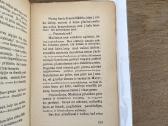 Mano žvėrys. Knyga vaikams 1937 m. - nuotraukos Nr. 6
