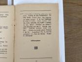 Irgi galva. Dialogas 1927 m. - nuotraukos Nr. 5