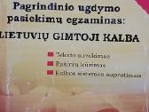 Pagrindinio ugdymo pasiekimų egzaminas