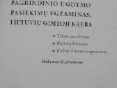 Pagrindinio ugdymo pasiekimų egzaminas - nuotraukos Nr. 2