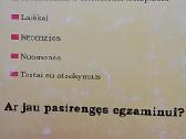 Pagrindinio ugdymo pasiekimų egzaminas - nuotraukos Nr. 4