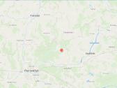 Parduodamas miškas Panevėžio raj. Prūselių k. - nuotraukos Nr. 4