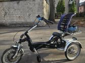 Elektrinis triratis Vanraam Easy Rider Junior - nuotraukos Nr. 5