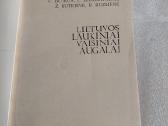 Lietuvos laukiniai vaisiniai augalai - nuotraukos Nr. 2