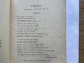Gegužio šventė 1920 m. - nuotraukos Nr. 3