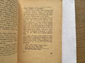 Taisa 1931 m. - nuotraukos Nr. 4