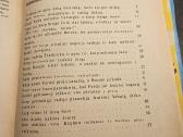 Knyga „Skruzdėliuko Ferdos nuotykiai“ - nuotraukos Nr. 5