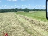 Ieškau pirkti ar nuomai žemės sklypų ūkiui - nuotraukos Nr. 2