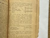 Kaip ir kuomi dirvą tręšti 1924 m. - nuotraukos Nr. 6