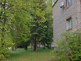 Parduodami du butai Viešintų miestelyje