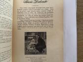 Dabušio indėlis į kultūrą 1938 m. - nuotraukos Nr. 4